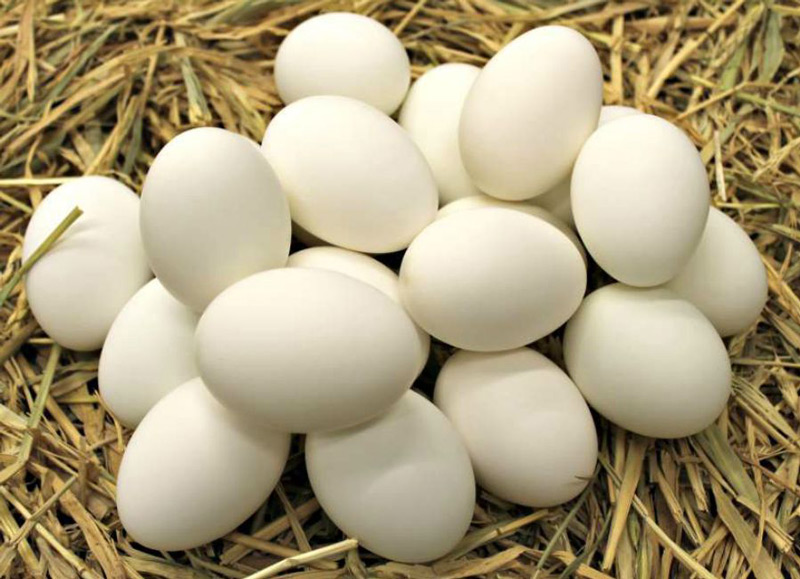 Trứng vịt lộn luộc bao nhiêu phút và cách bảo quản trứng